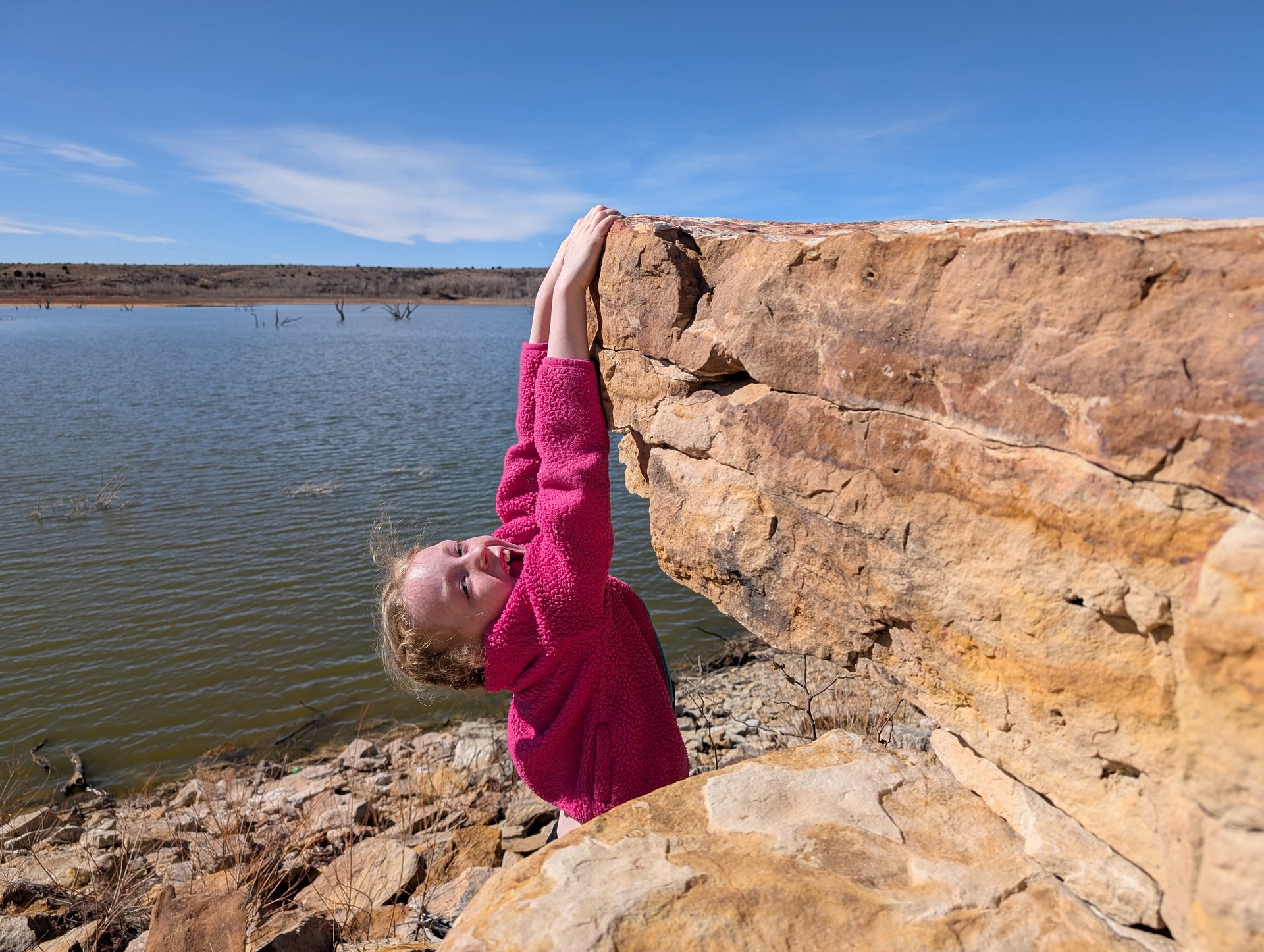 Luna hanging from a rock at the park