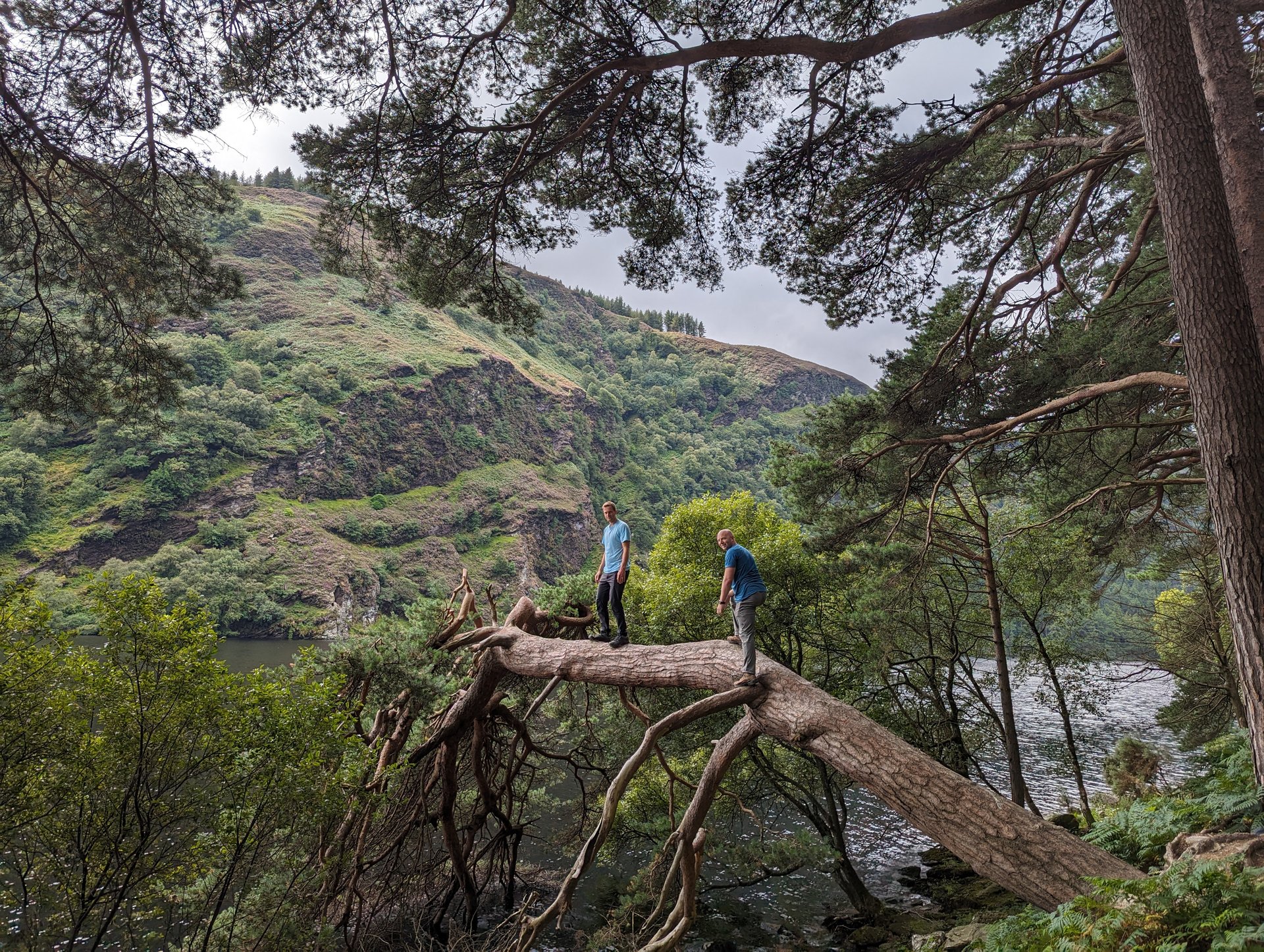 Hiking through the ancient Wicklow forest