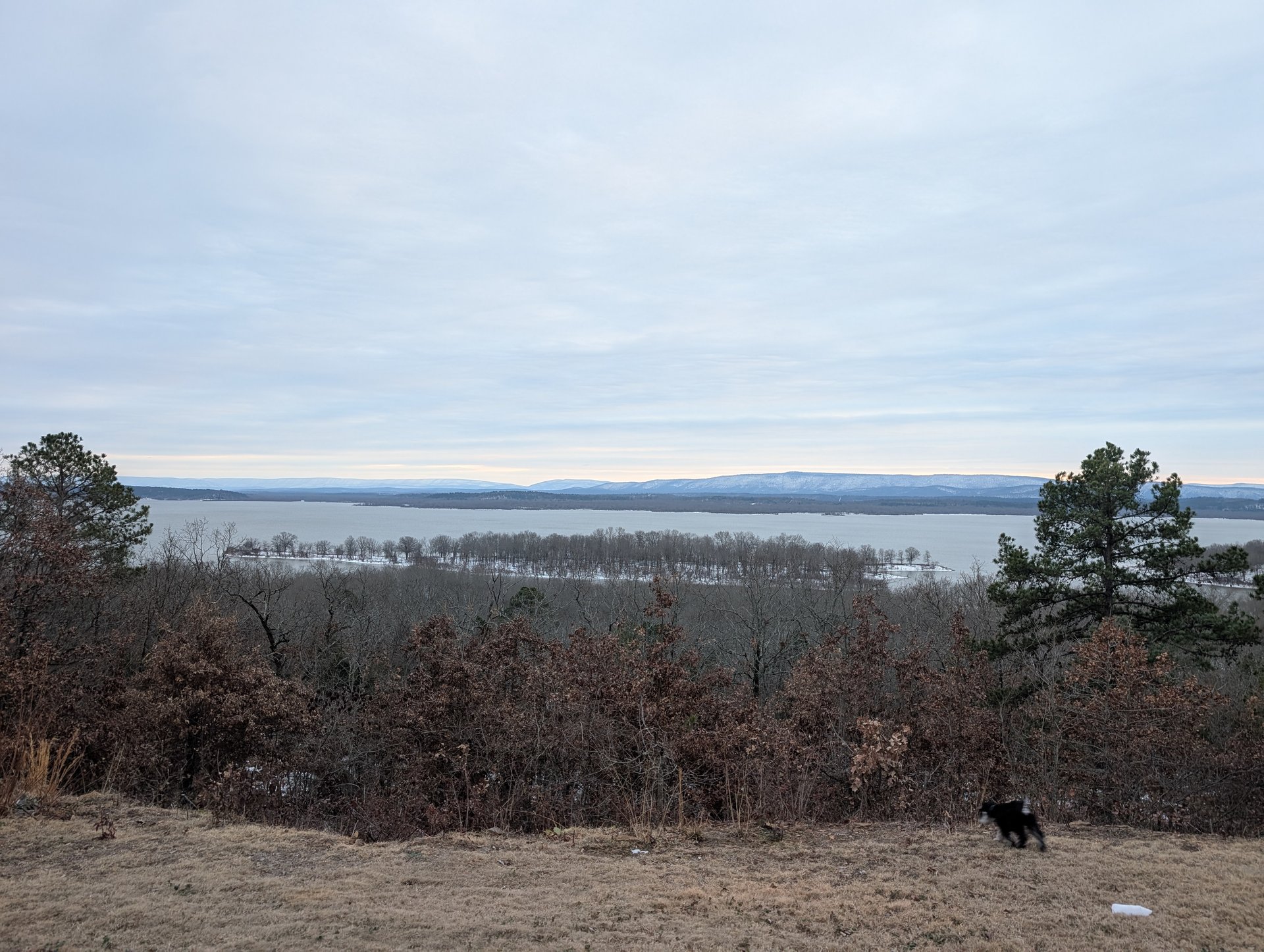 Lake Wister stretching out below our cabin ridge with Broc already exploring the property