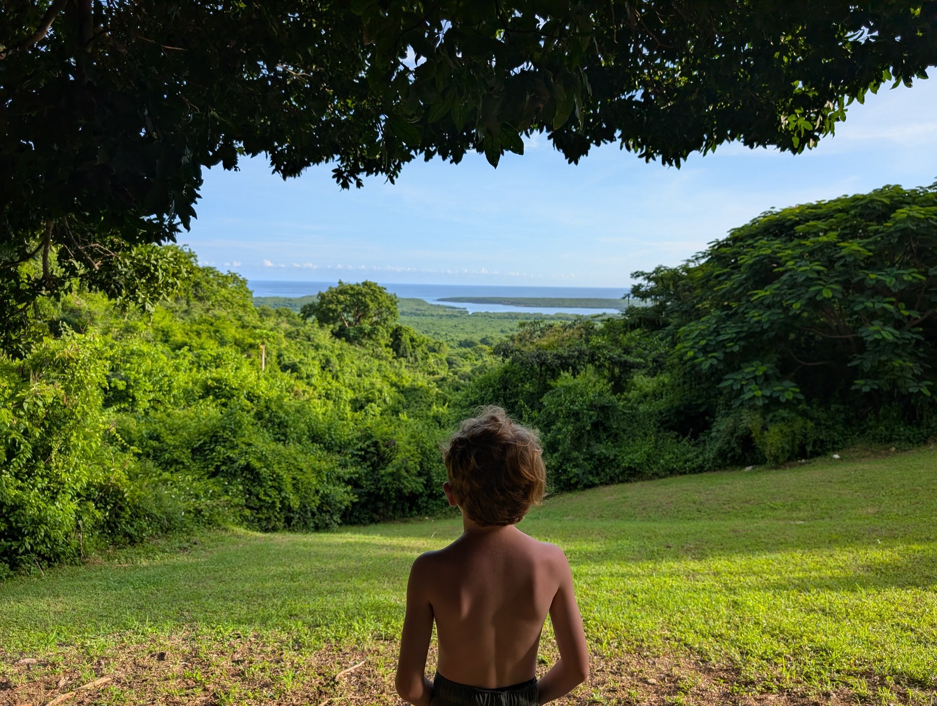 Ancient 360-year-old tree and other Vieques adventures